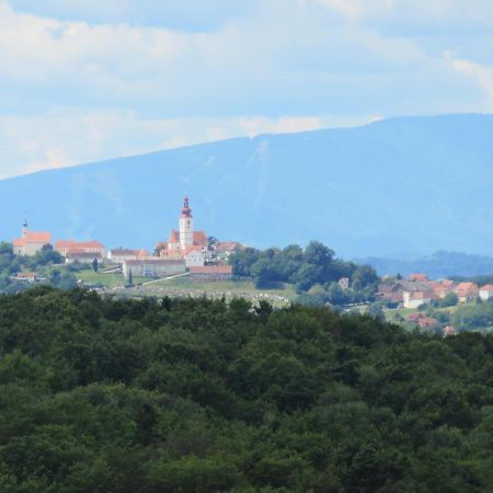 Apartmenthaus Styria Bad Gleichenberg Bagian luar foto